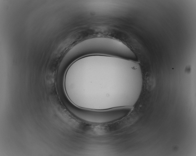 X0000110710756200906261431