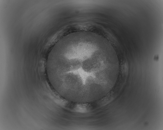 X0000110710757200906261431