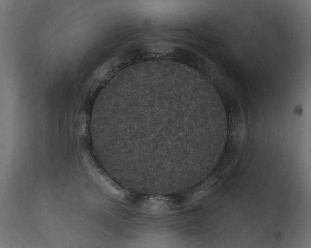 X0000110710758200906261431