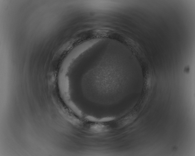 X0000110710759200906261431