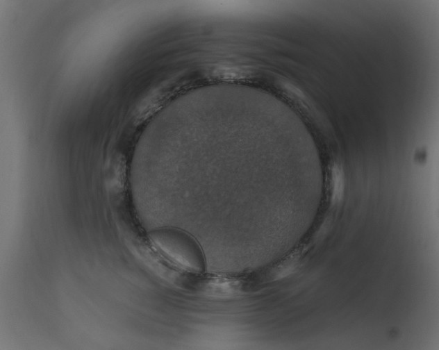 X0000110710760200906261431