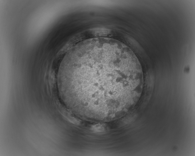 X0000110710761200906261431