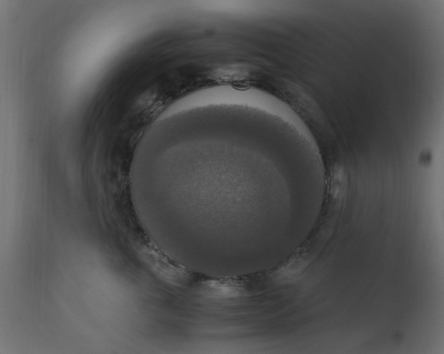 X0000110710763200906261431