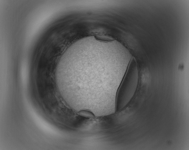 X0000110710764200906261431