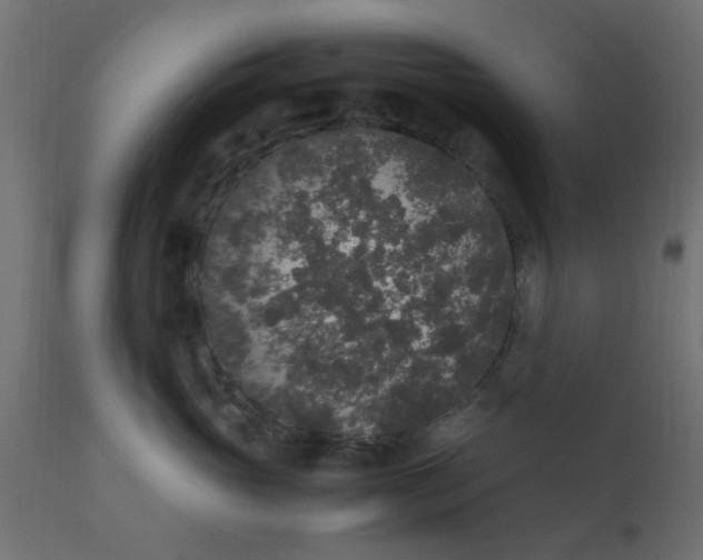 X0000110710765200906261431