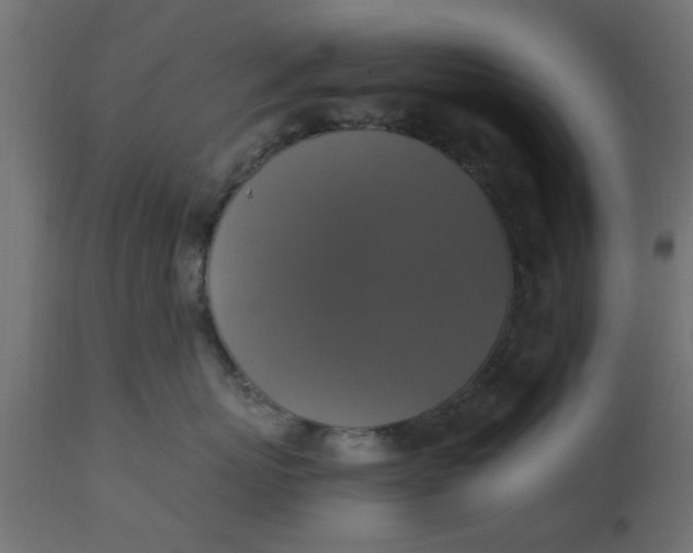 X0000110710767200906261431