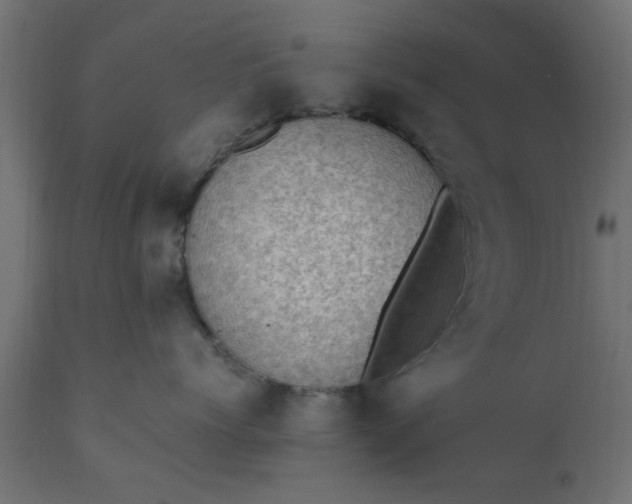 X0000110710768200906261431