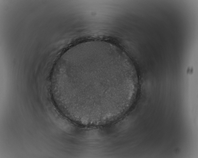 X0000110710769200906261430