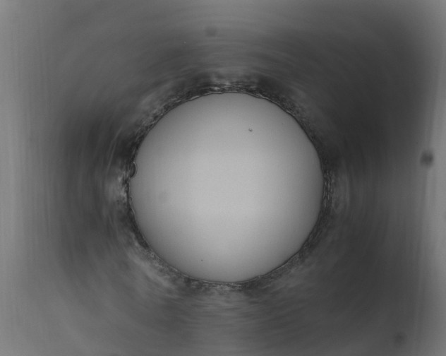 X0000110710770200906261430