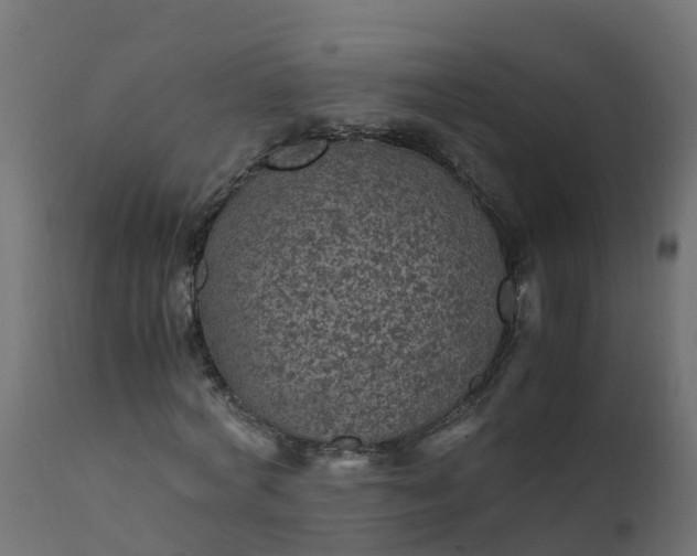X0000110710772200906261430