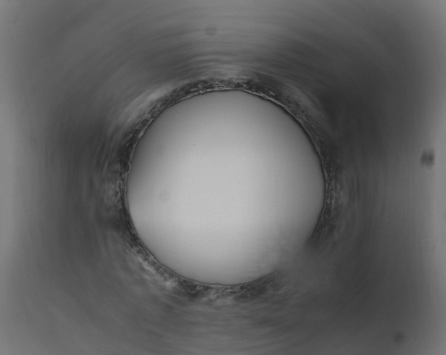 X0000110710773200906261430