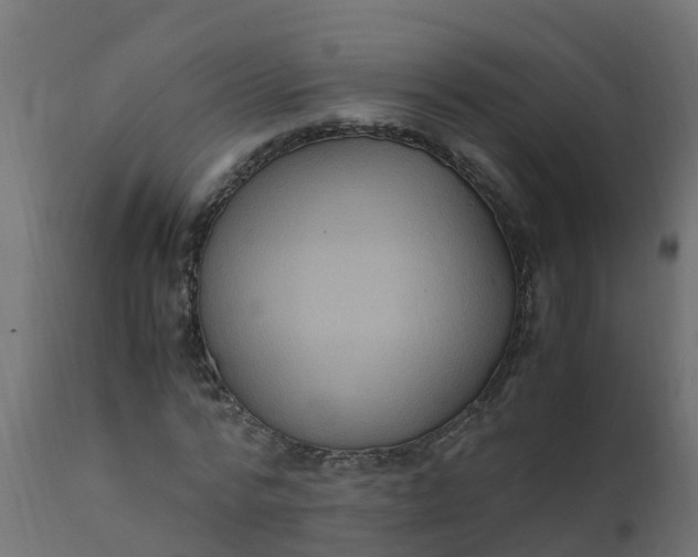 X0000110710776200906261430