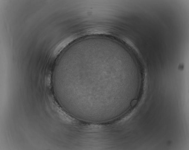 X0000110710777200906261430