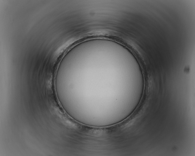 X0000110710778200906261430