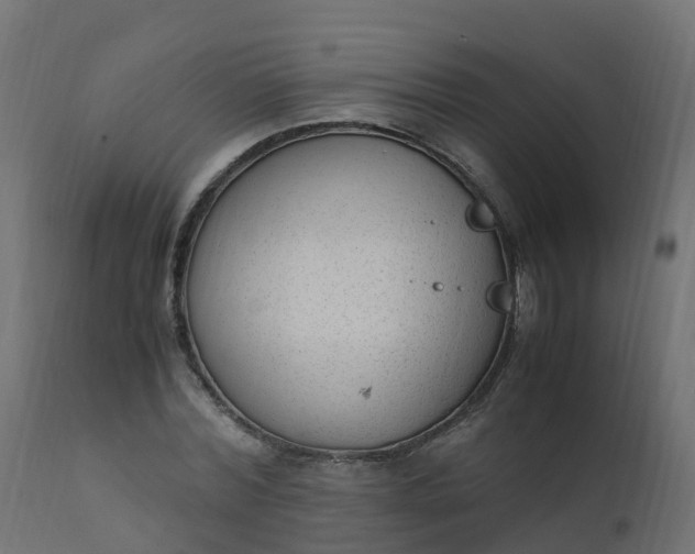 X0000110710780200906261430