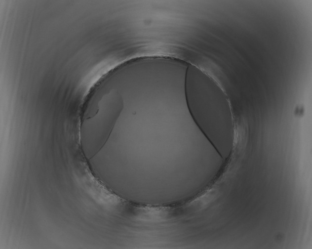 X0000110710781200906261430