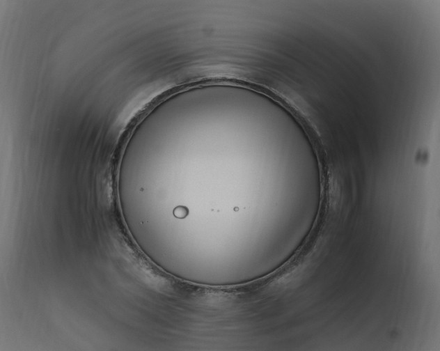 X0000110710782200906261430