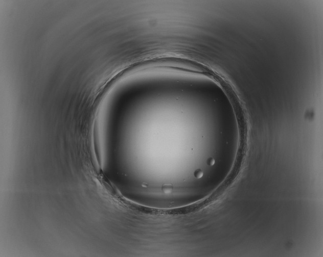 X0000110710785200906261430