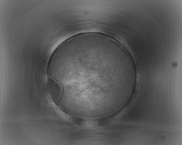 X0000110710789200906261430