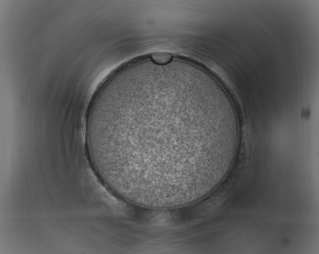X0000110710791200906261430