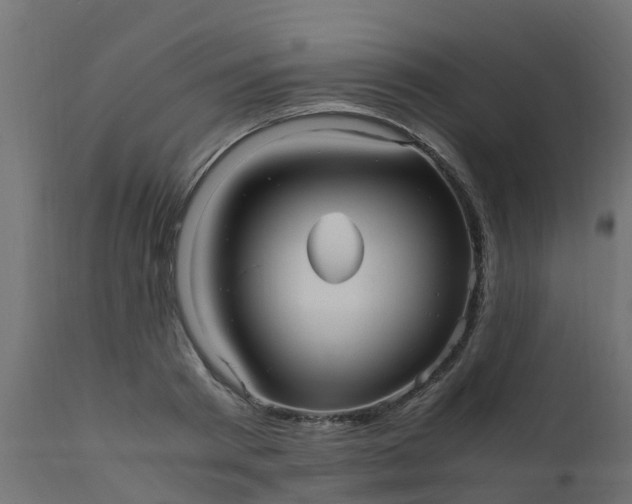 X0000110710793200906261430