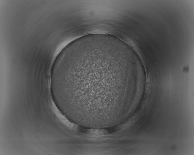 X0000110710795200906261430