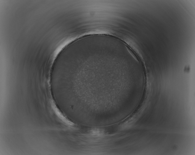 X0000110710797200906261430