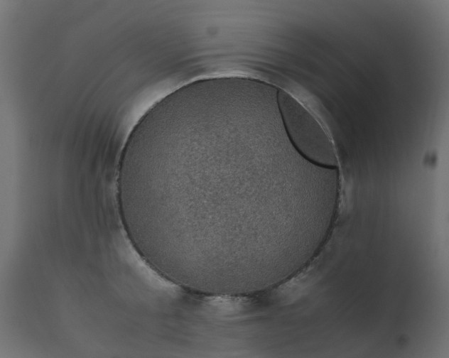 X0000110710805200906261430