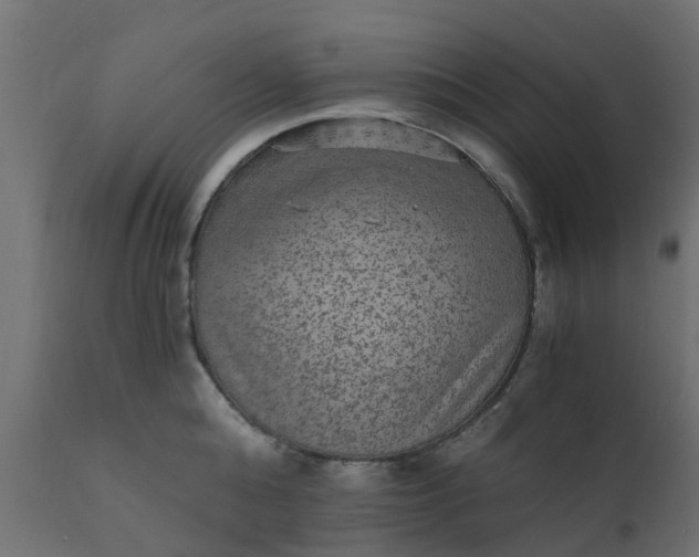 X0000110710808200906261430