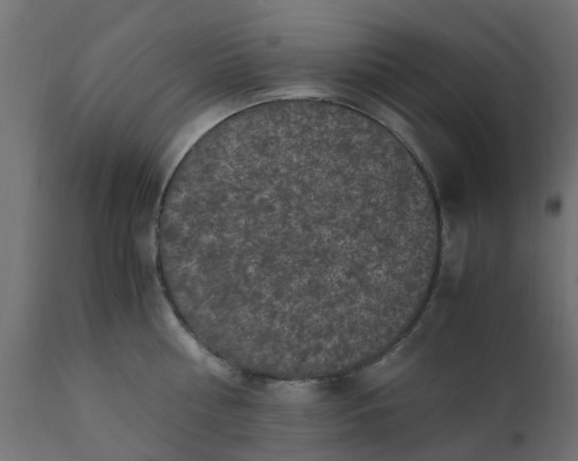 X0000110710810200906261430