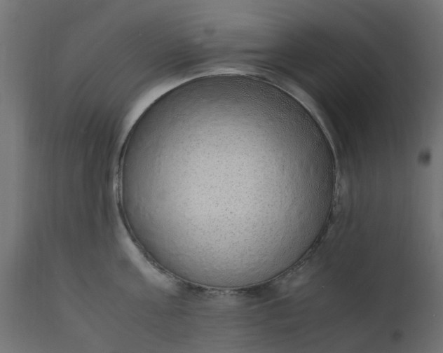 X0000110710811200906261430