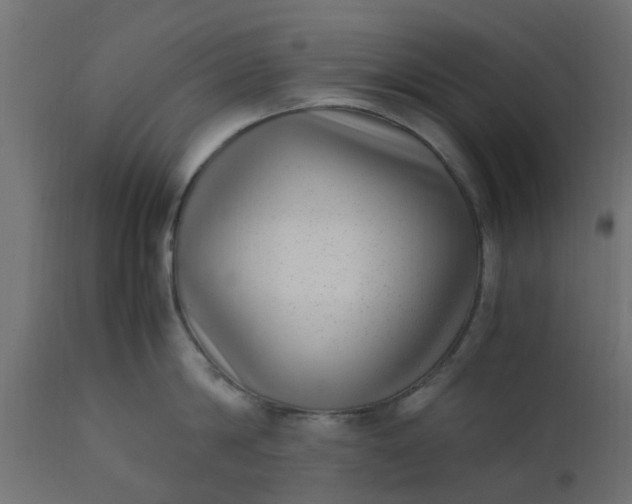 X0000110710814200906261430