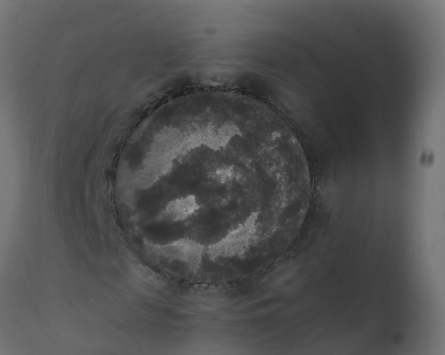 X0000110710817200906261429