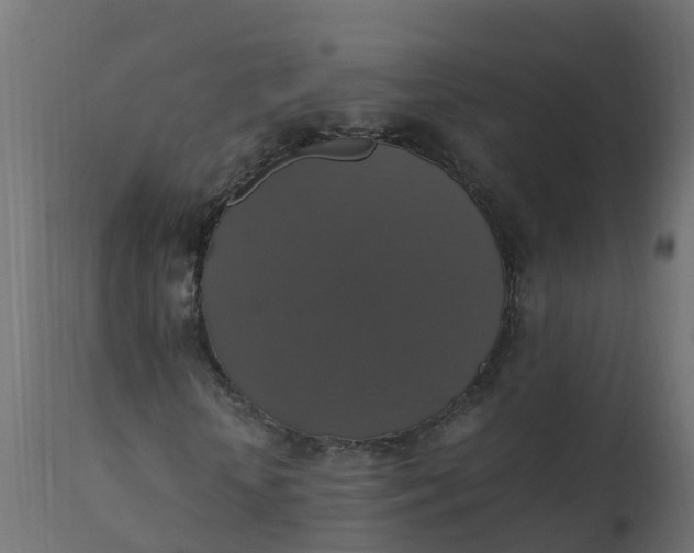X0000110710818200906261429
