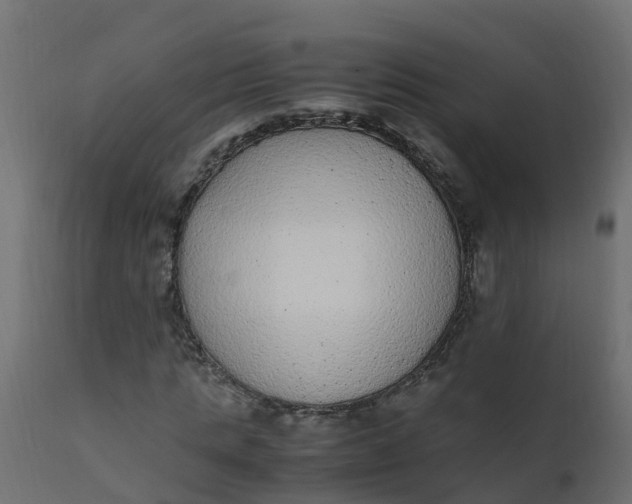 X0000110710821200906261429