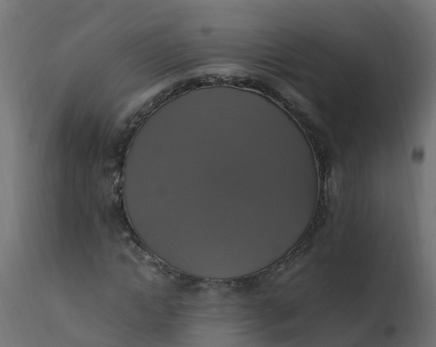 X0000110710822200906261429