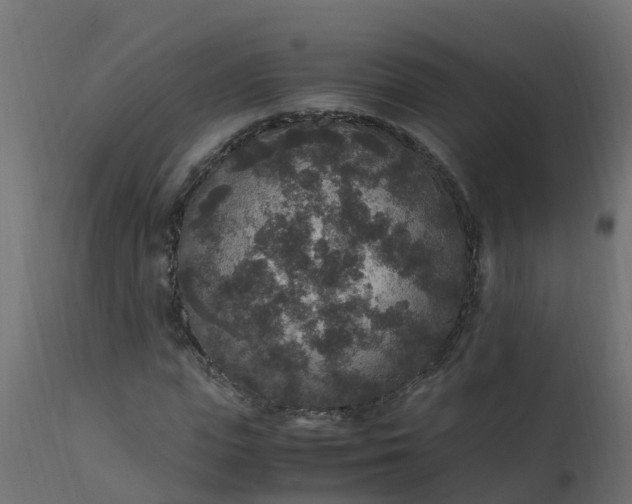 X0000110710823200906261429