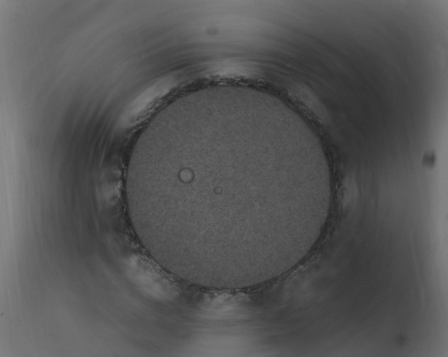 X0000110710824200906261429