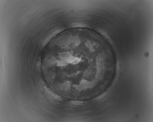 X0000110710825200906261429