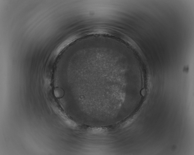 X0000110710826200906261429