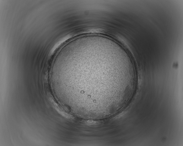 X0000110710827200906261429