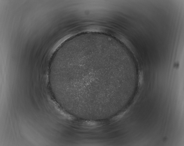 X0000110710829200906261429