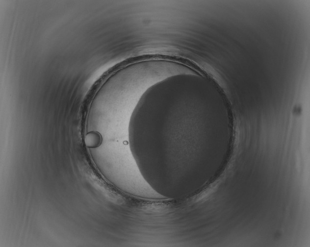 X0000110710830200906261429