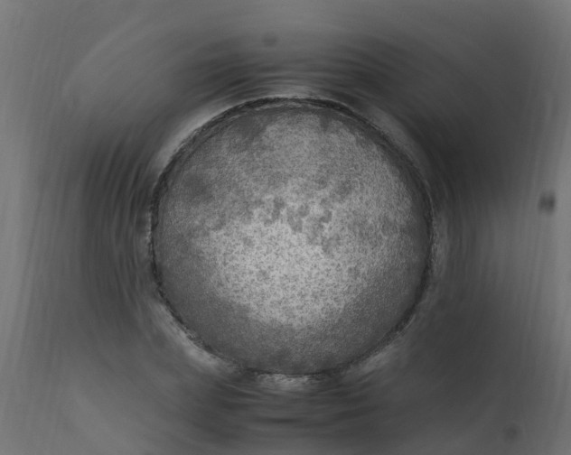X0000110710831200906261429