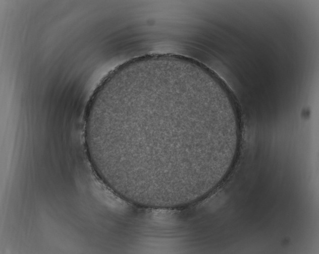 X0000110710832200906261429