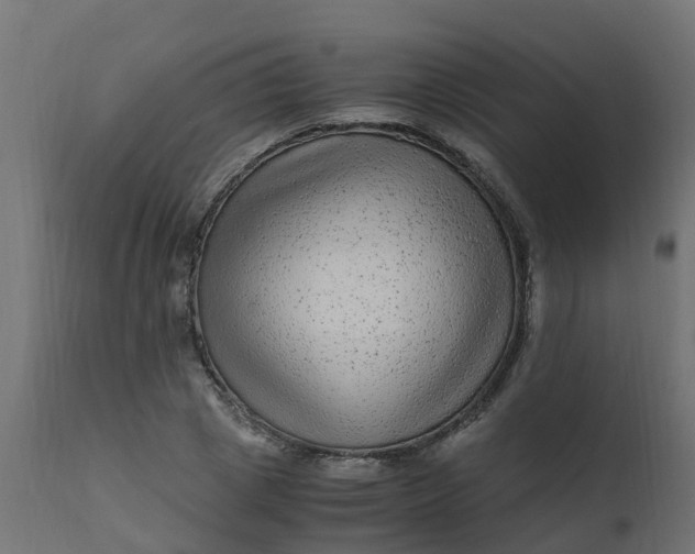 X0000110710833200906261429