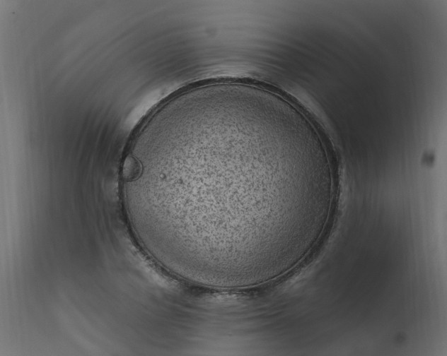 X0000110710834200906261429