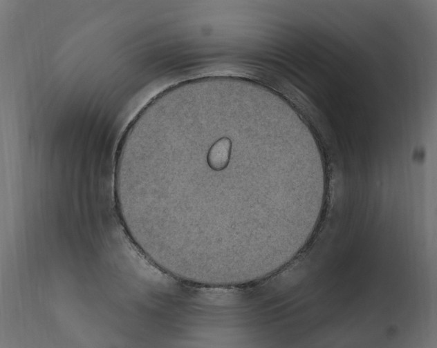 X0000110710836200906261429