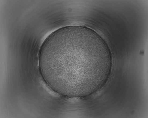 X0000110710838200906261429