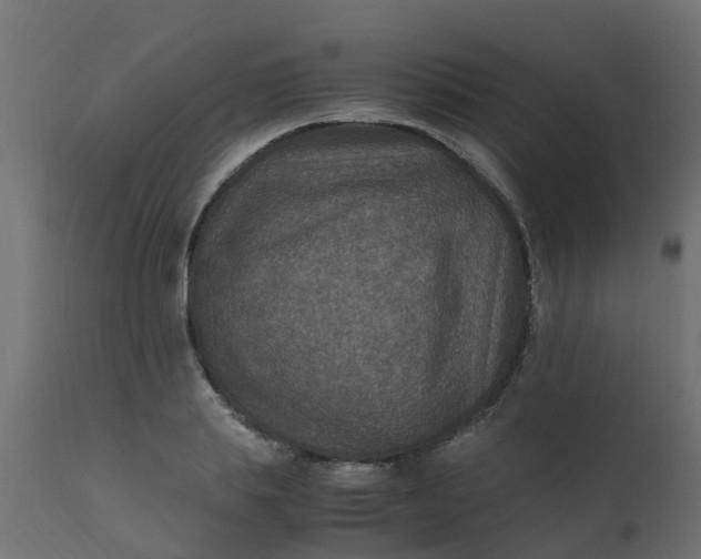 X0000110710839200906261429